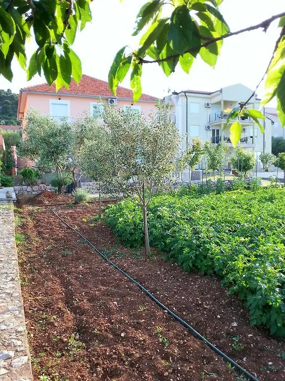 Apartments Lukacic Tkon 0*,